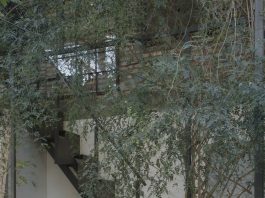 CASA MAINUMBY /Grupo Culata Jovai