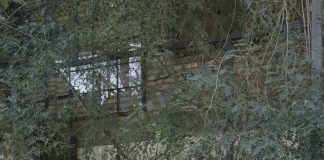 CASA MAINUMBY /Grupo Culata Jovai